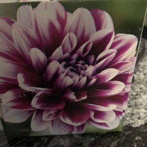 Meet your Posher, Cathy